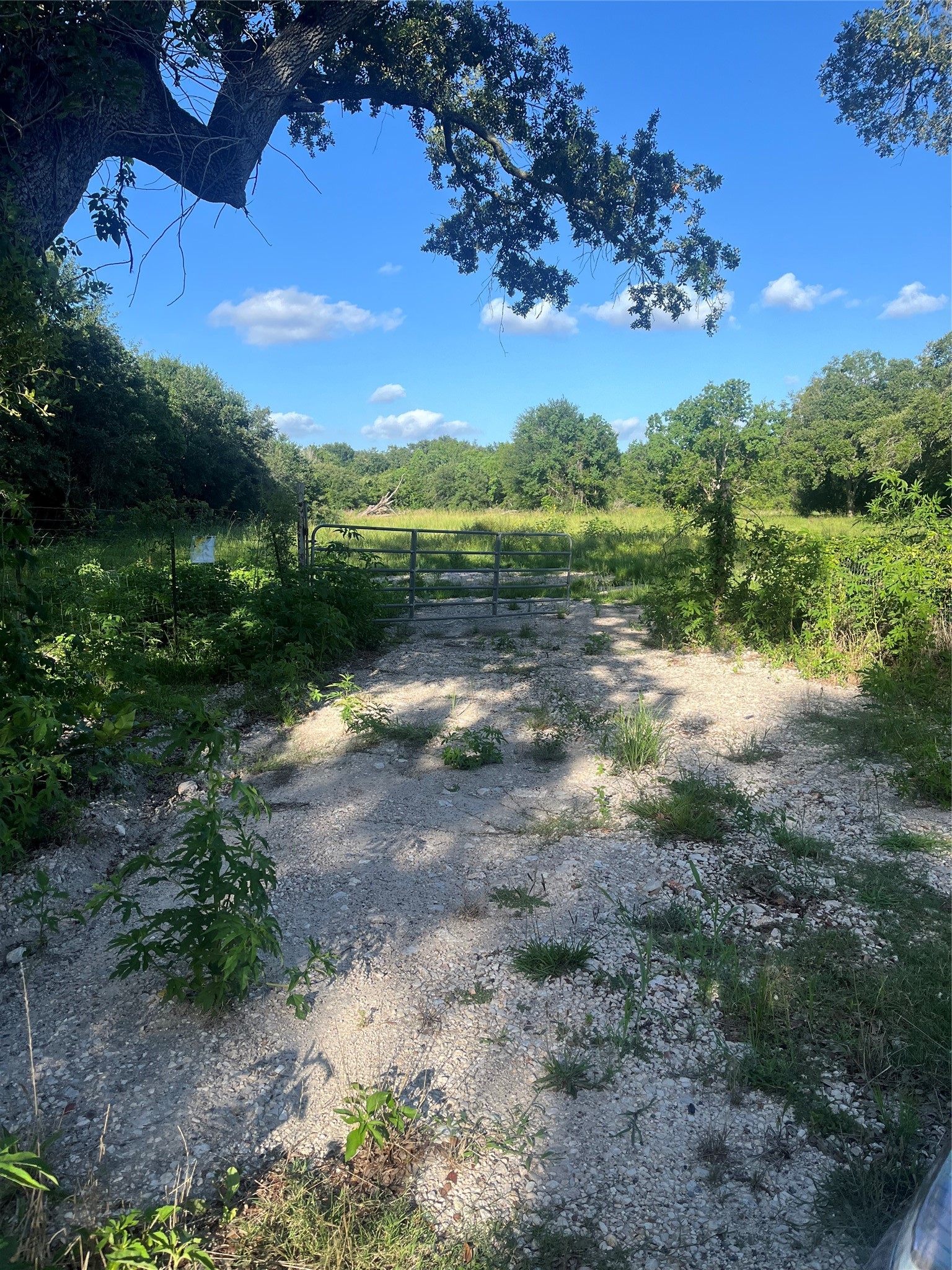 6125 Masters Manvel, TX 77578 - Photo 7 of 8 a view of a lake with a mountain