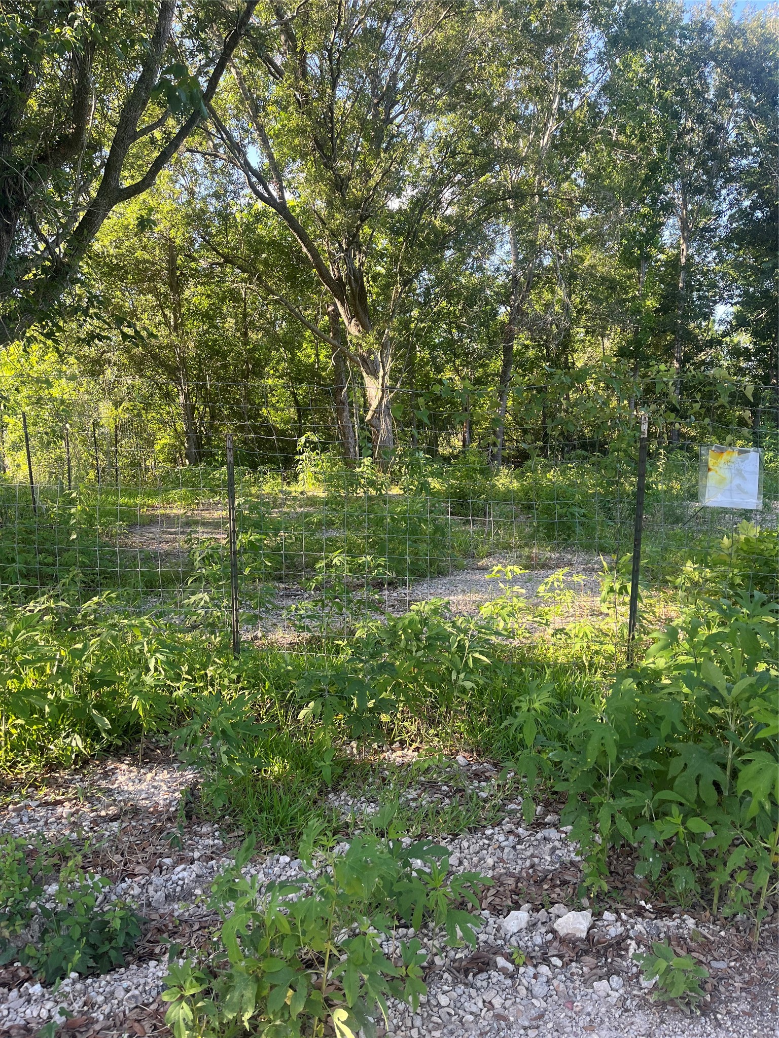 6125 Masters Manvel, TX 77578 - Photo 8 of 8 a backyard of a house with lots of green space and fountain