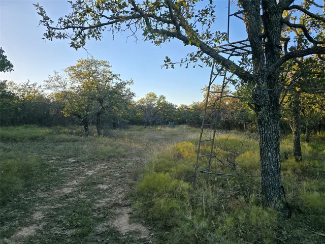 $1,499,000 | 7200 U.S. Highway 84 East, Coleman, TX 76834