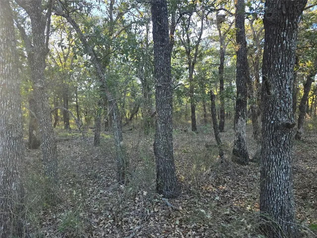 $1,499,000 | 7200 U.S. Highway 84 East, Coleman, TX 76834