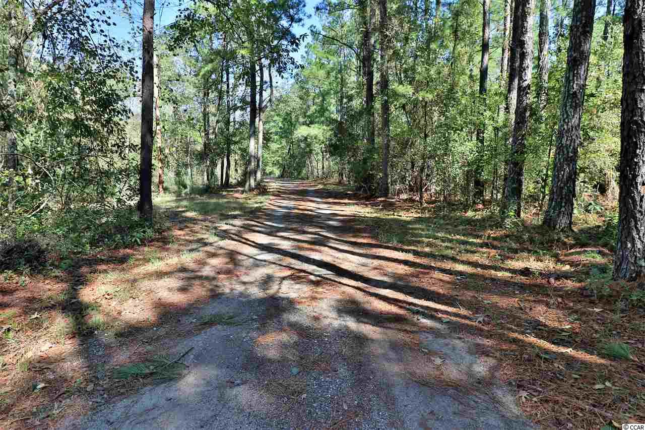 7391 Hucks Road Conway, SC 29526 - Photo 35 of 40 Gallery Image 35