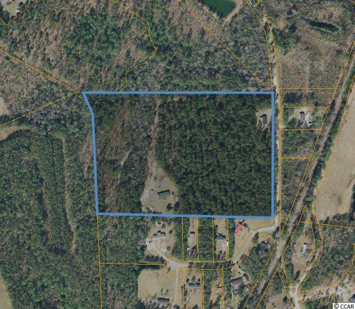 7391 Hucks Road Conway, SC 29526 - Photo 38 of 40 Gallery Image 38