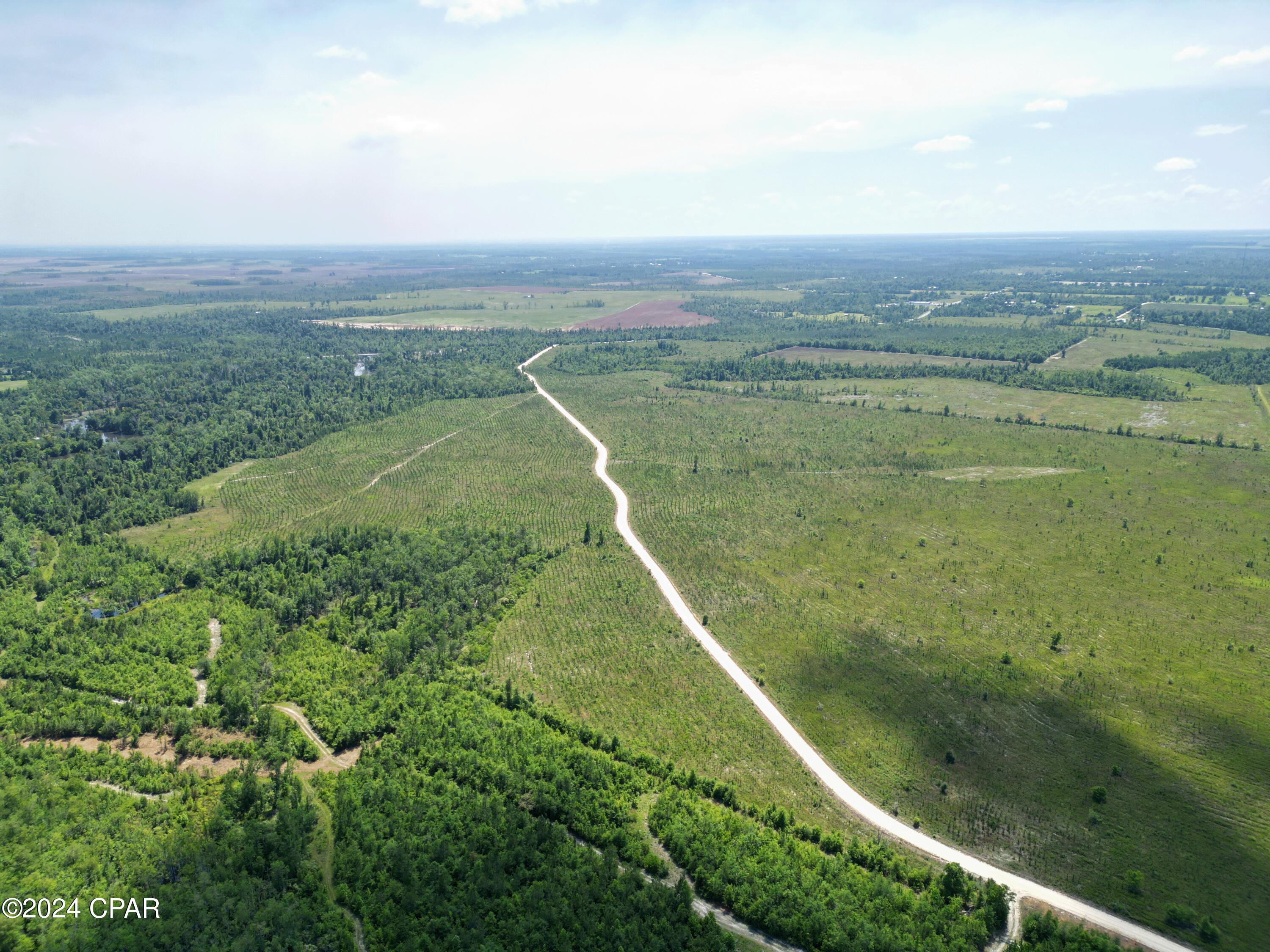 Lot 18 Northwest K B Jones Road Clarksville, FL 32430 - Photo 4 of 9