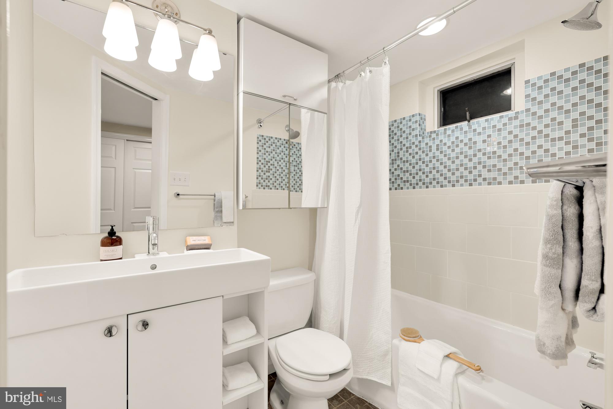 1733 Harvard Street Northwest Washington, DC 20009 - Photo 29 of 45 Lower-Level Bathroom