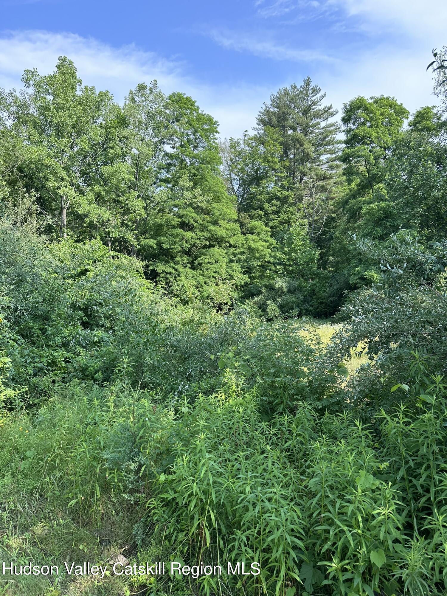 Tbd Creek Road Catskill, NY 12414 - Photo 15 of 19 a view of a garden