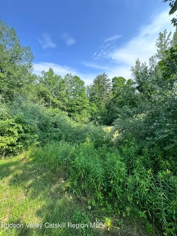 a view of a bunch of trees