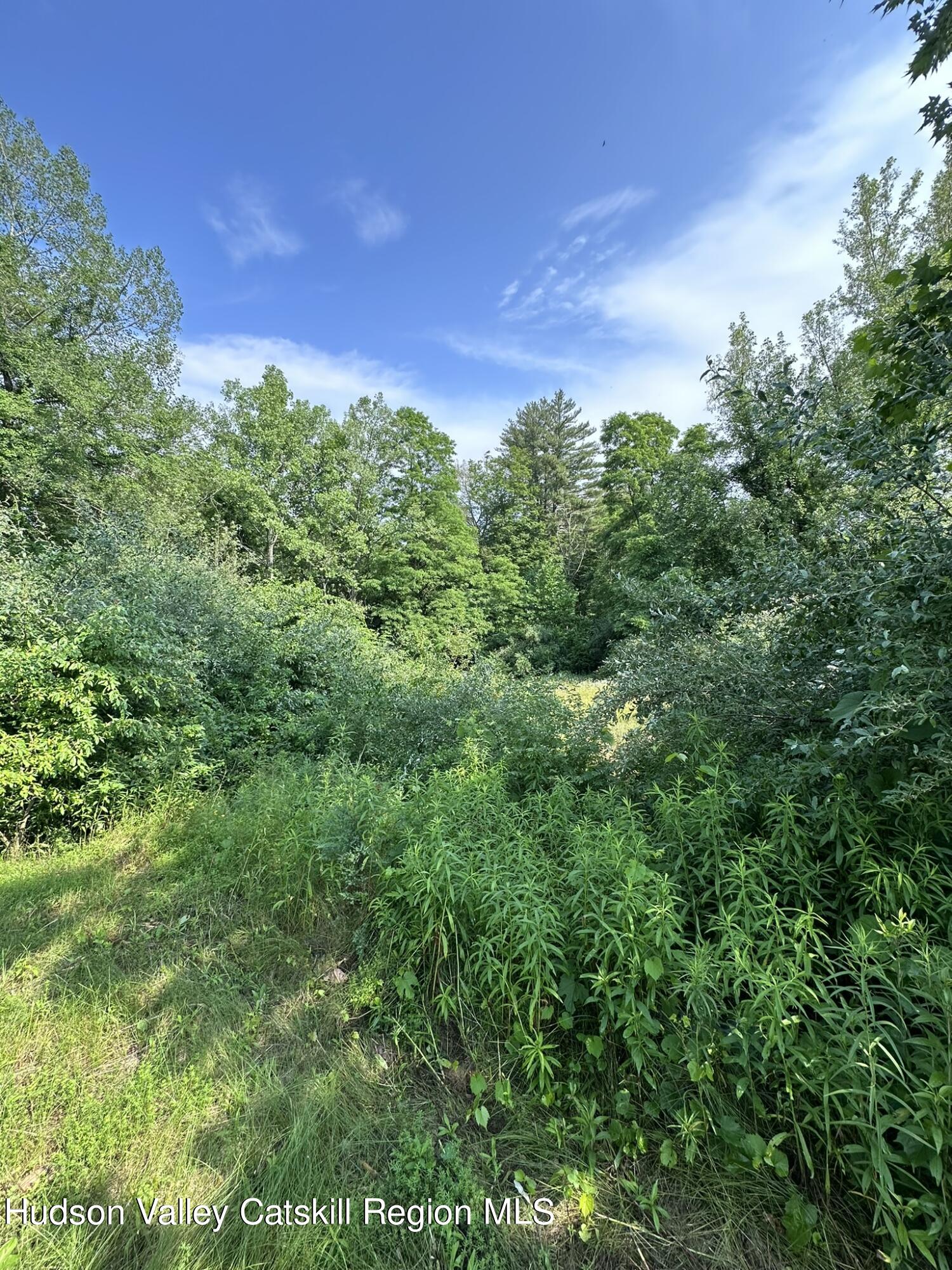 Tbd Creek Road Catskill, NY 12414 - Photo 16 of 19 a view of a bunch of trees