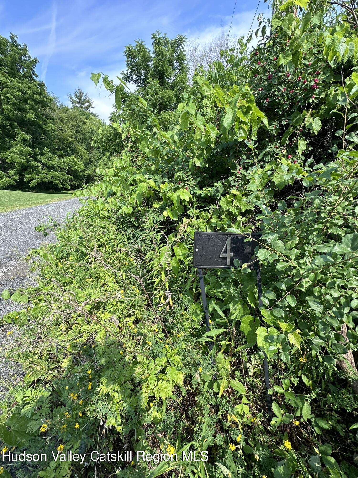 Tbd Creek Road Catskill, NY 12414 - Photo 19 of 19 a view of a lush green forest with lots of trees