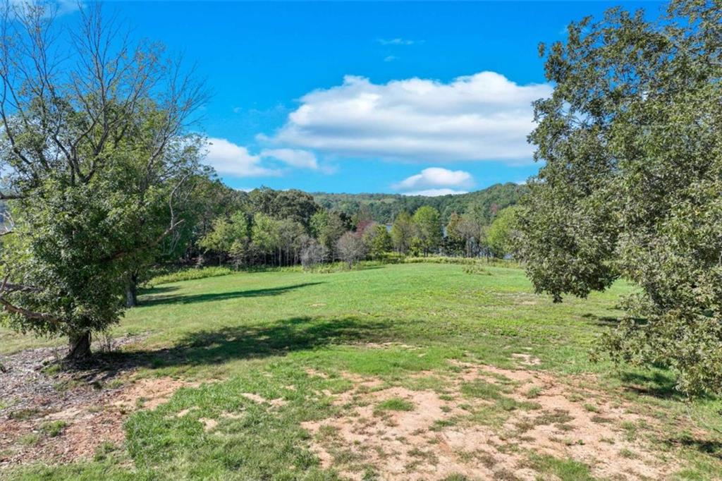 4540 Shirley Road Gainesville, GA 30506 - Photo 12 of 21 a view of a grassy field with trees in the background