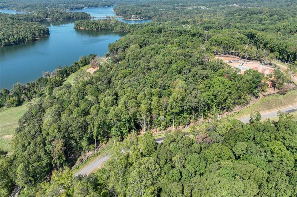 4540 Shirley Road Gainesville, GA 30506 - Photo 20 of 21 an aerial view of residential houses with outdoor space and trees all around