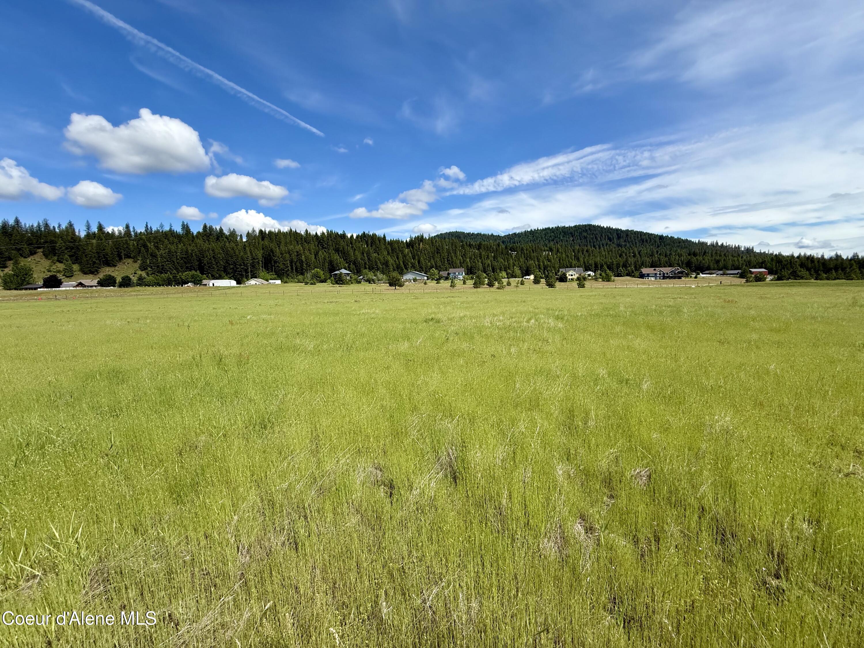 Lot 9 North Stonemason Way Rathdrum, ID 83858 - Photo 2 of 6 5 grassy acres to personalize.