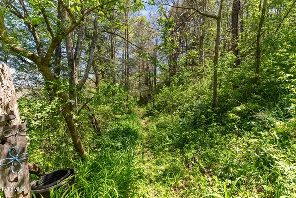 $299,000 | 2170 Saltville Highway, Saltville, VA 24370
