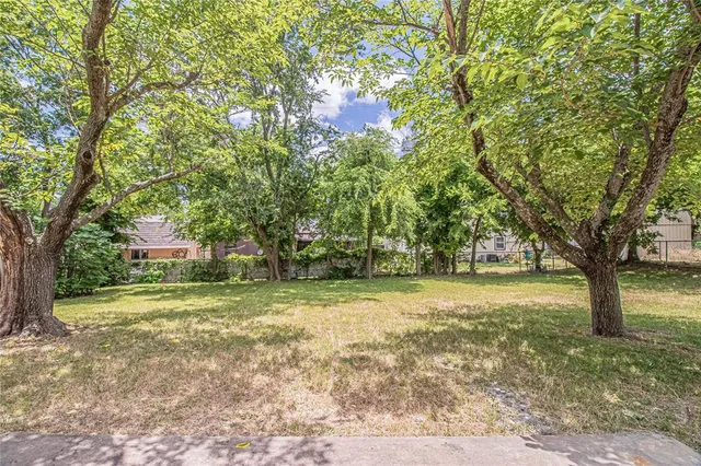 a view of a trees in a yard