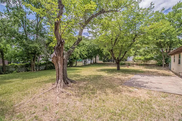 a view of a tree in the middle of a yard