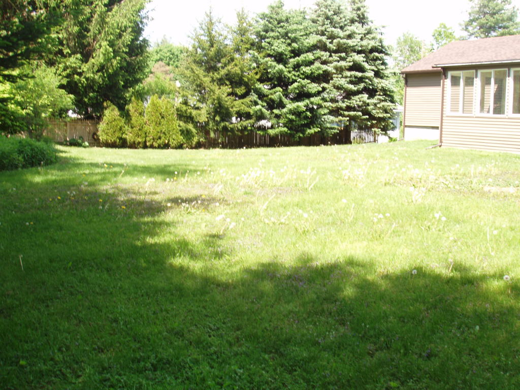 59 Clark Road Pittsfield, MA 01201 - Photo 16 of 20 Backyard
