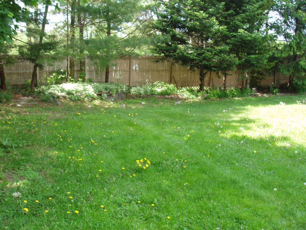 59 Clark Road Pittsfield, MA 01201 - Photo 17 of 20 Backyard 2