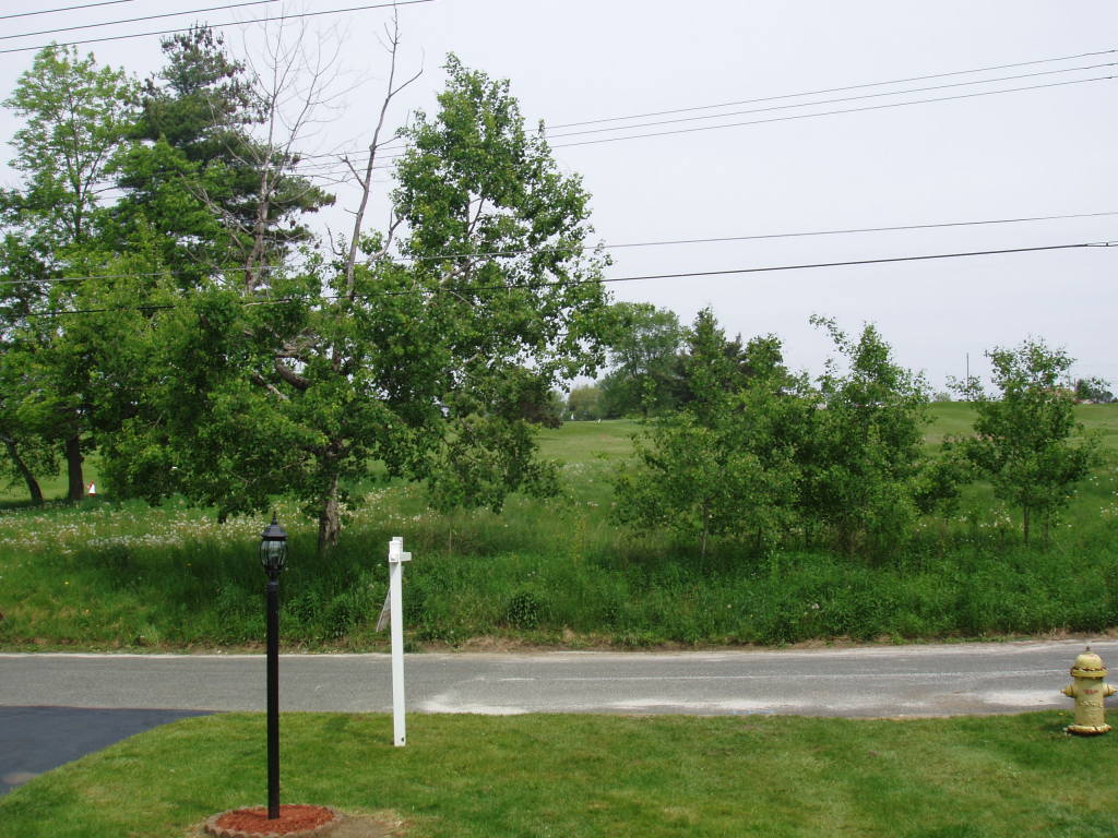 59 Clark Road Pittsfield, MA 01201 - Photo 20 of 20 Golf Course