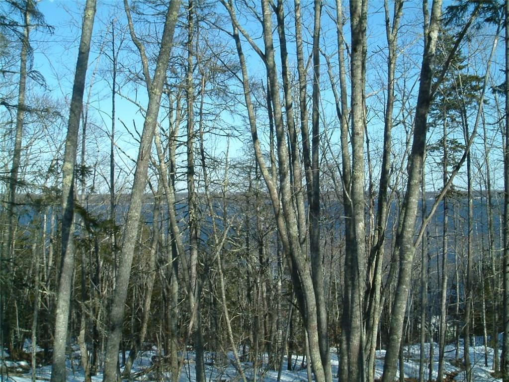 385 Shore Road Northport, ME 04849 - Photo 2 of 7 Photo