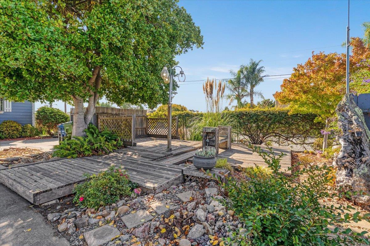 172 West Phillips Road Watsonville, CA 95076 - Photo 38 of 42 a view of a backyard with plants and a garden