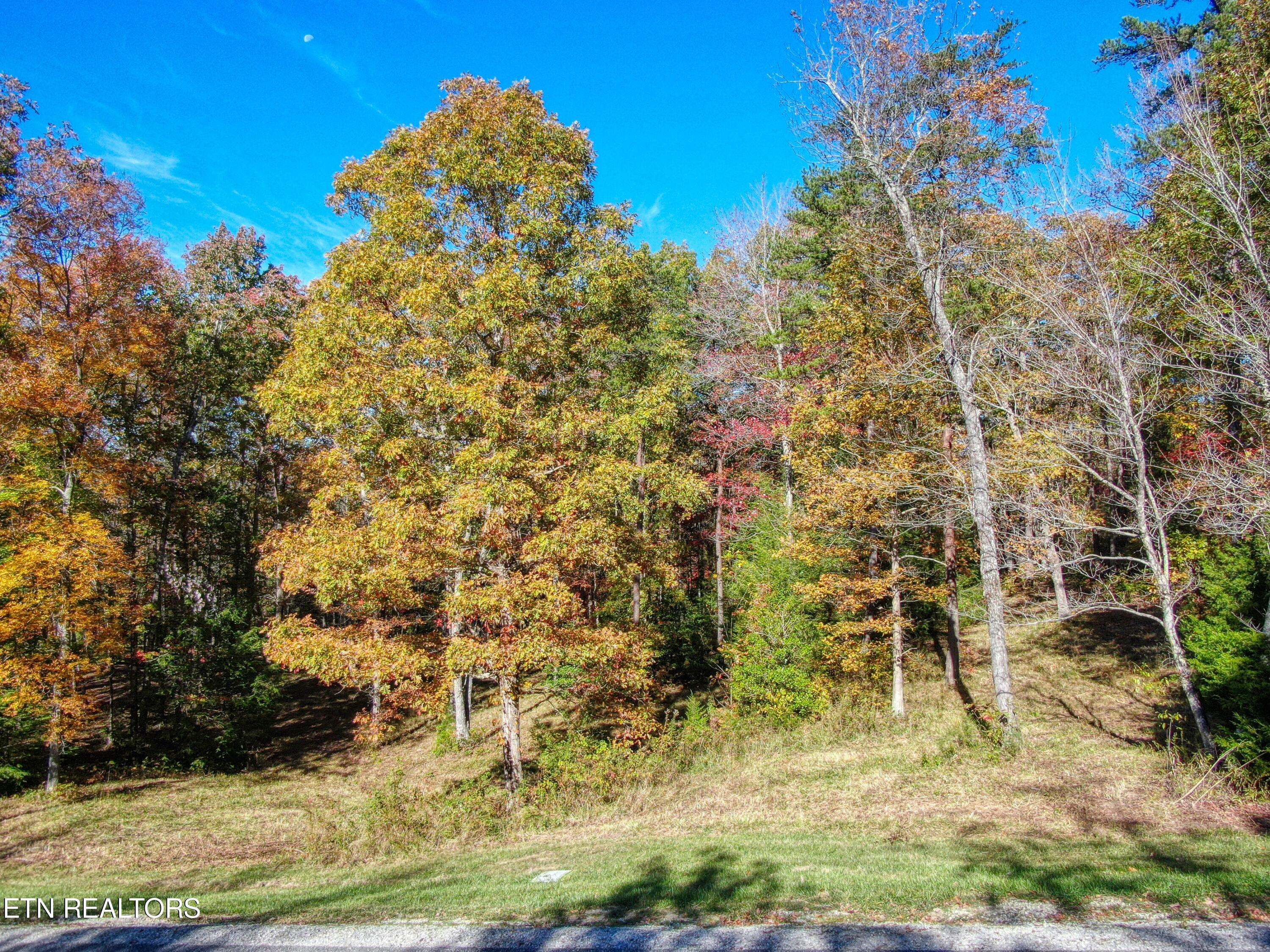 40 Grandview Way Jamestown, TN 38556 - Photo 2 of 11 ep5