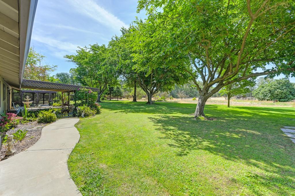 8798 Caselman Road Sacramento, CA 95828 - Photo 38 of 57