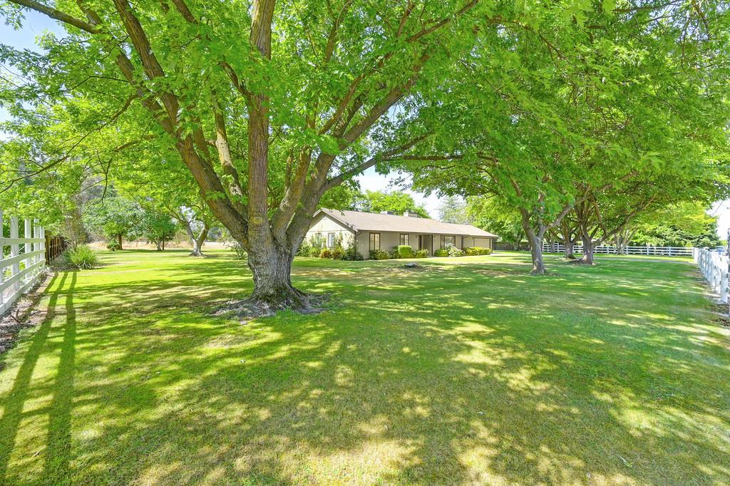 8798 Caselman Road Sacramento, CA 95828 - Photo 5 of 57