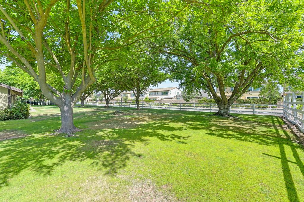 8798 Caselman Road Sacramento, CA 95828 - Photo 6 of 57