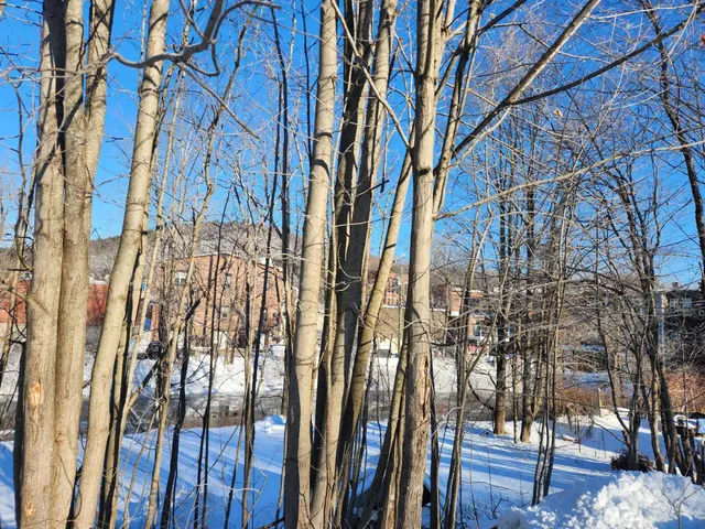 $168,500 | 30 Beech Street, Unit 4C, Bristol, NH 03222