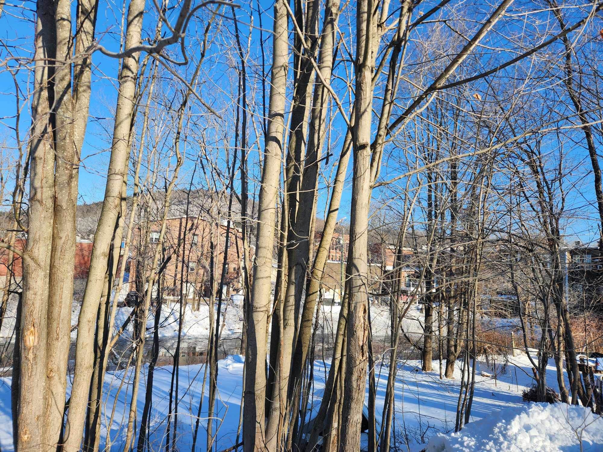 30 Beech Street, Unit 4C Bristol, NH 03222 - Photo 4 of 33