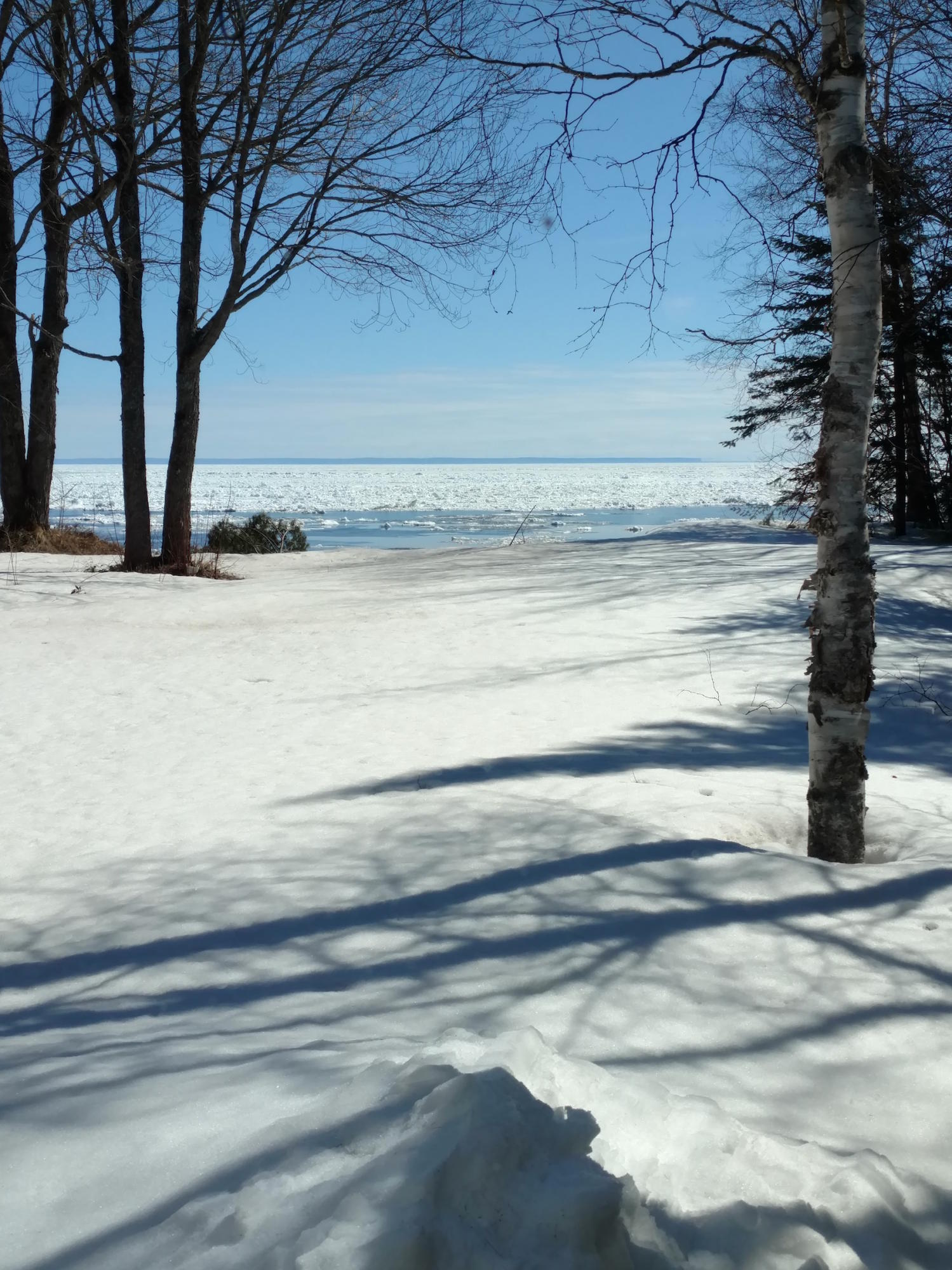 8384 North Whitefish Point Road Paradise, MI 49768 - Photo 27 of 33 Gallery Image 27