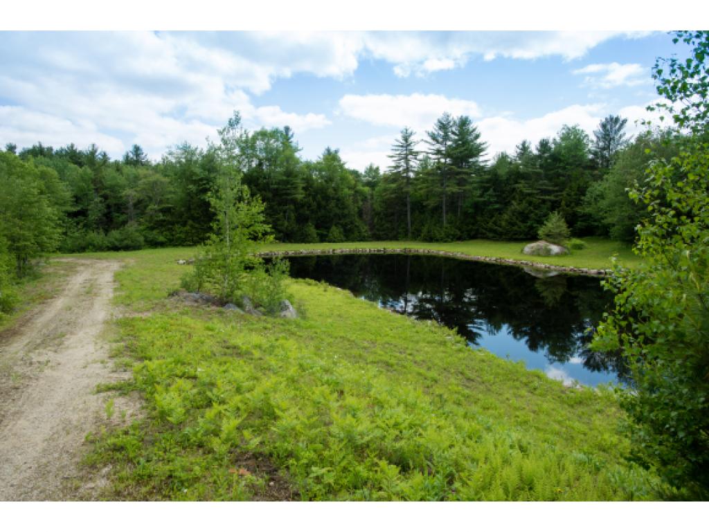 Lot 34 Richardson Road Dublin, NH 03444 - Photo 9 of 15 Gallery Image 9