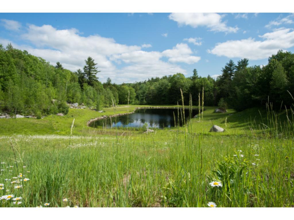 Lot 34 Richardson Road Dublin, NH 03444 - Photo 10 of 15 Gallery Image 10