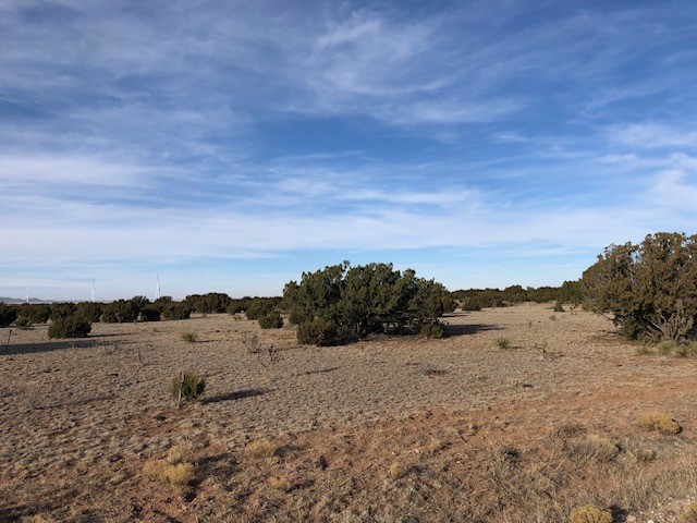 11 Anza Road Corona, NM 88318 - Photo 6 of 19