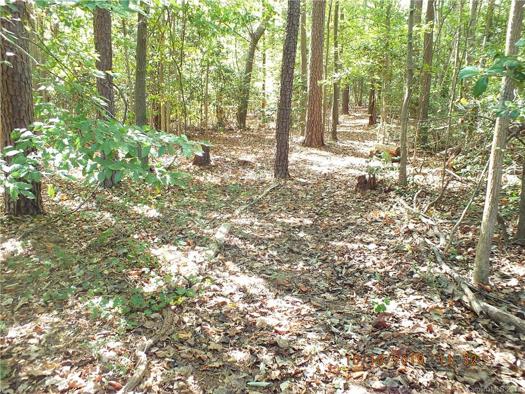 1914 Canal Road Catawba, SC 29704 - Photo 15 of 23 a view of outdoor space with trees