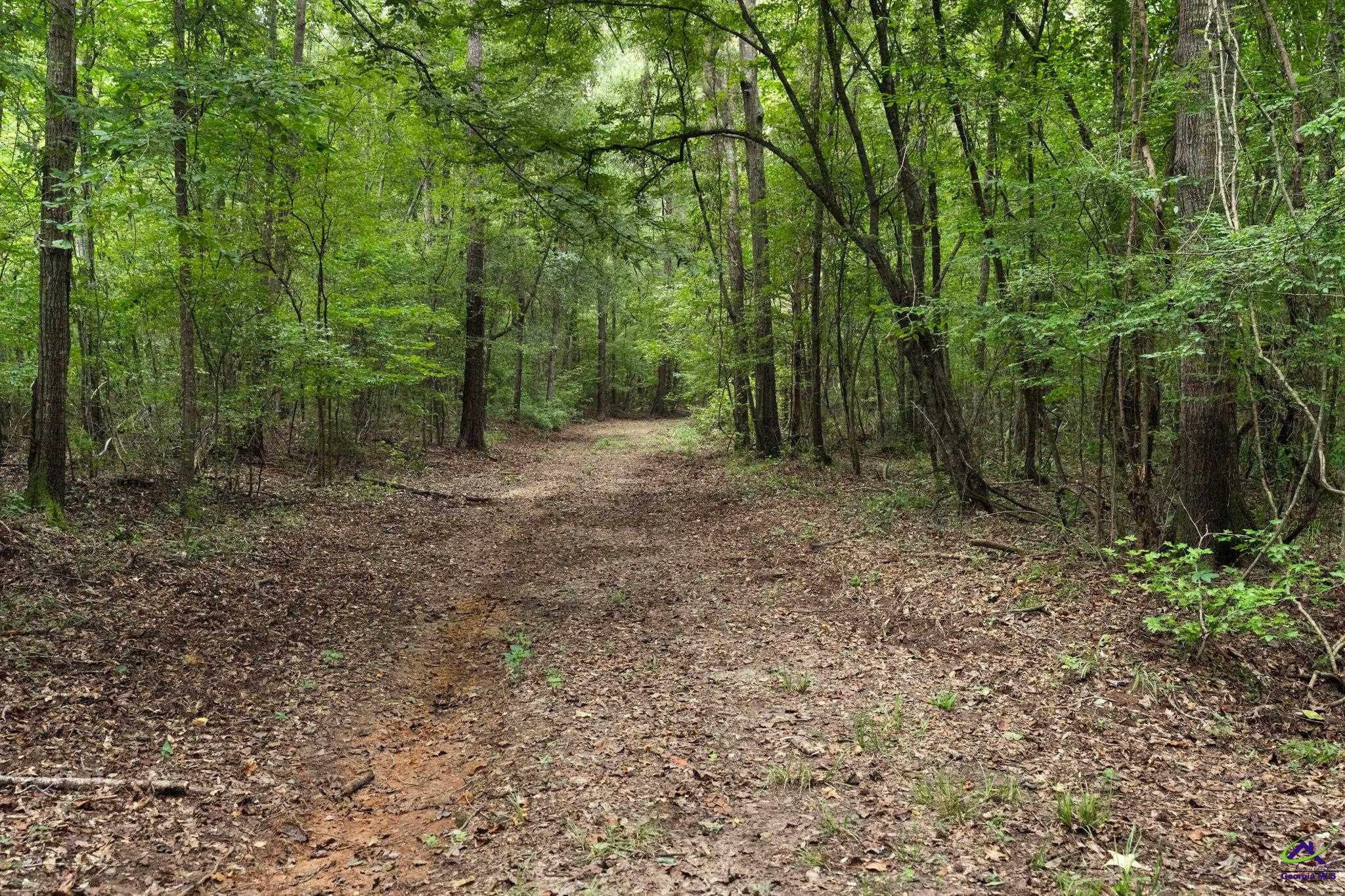 1116 County Line Road Unadilla, GA 31091 - Photo 48 of 66 Gallery Image 48