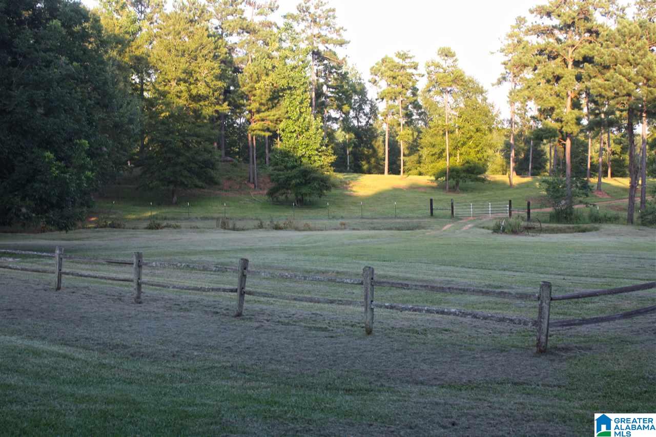 0 Louina Road Roanoke, AL 36274 - Photo 1 of 33