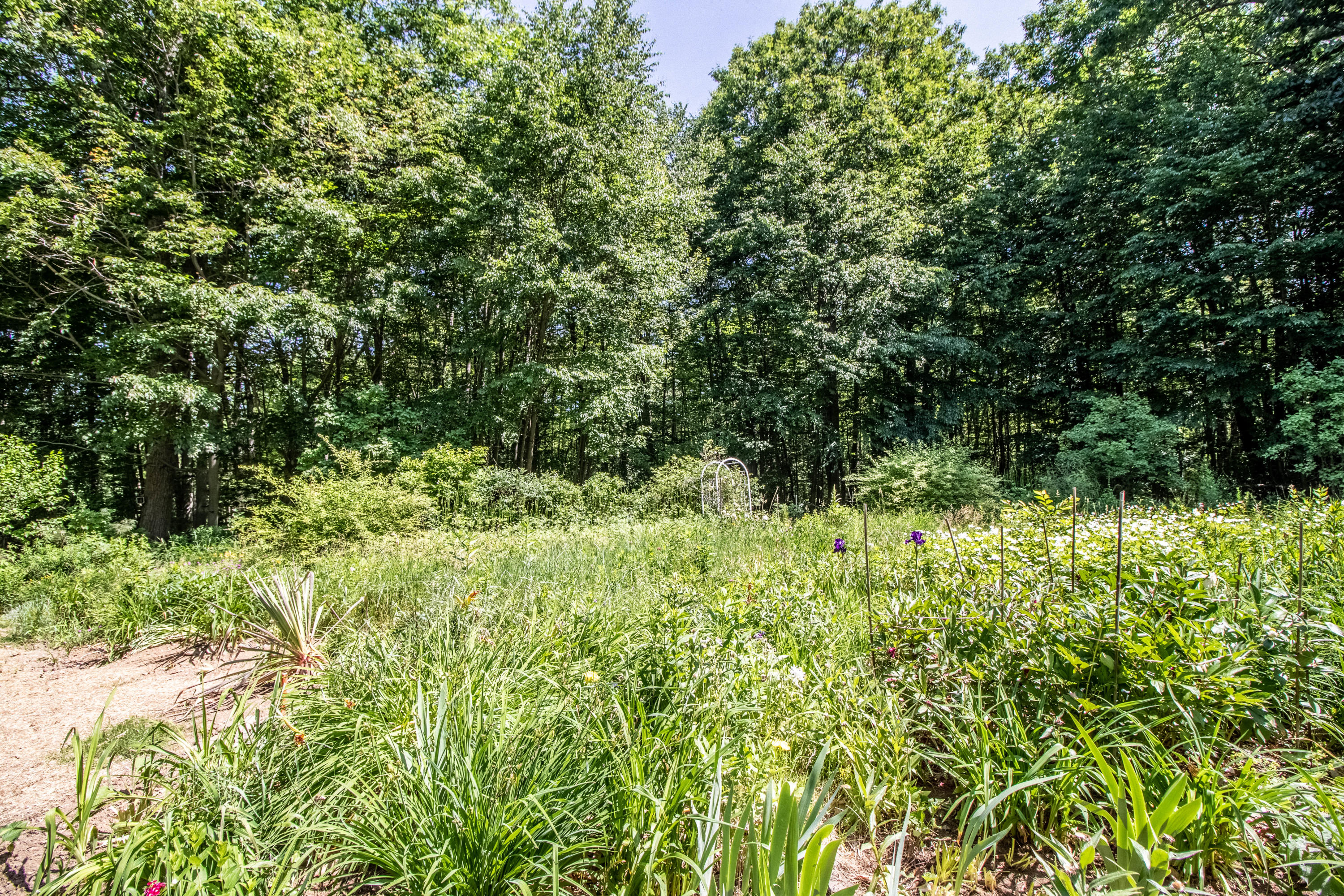 266 Cranberry Meadow Road Berwick, ME 03901 - Photo 37 of 37 _MG_6338-HDR