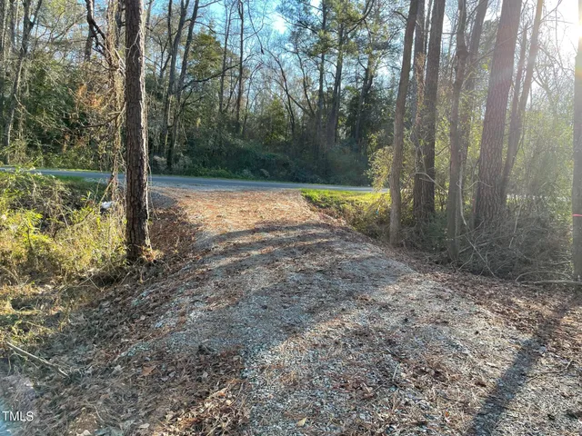 a view of backyard with green space
