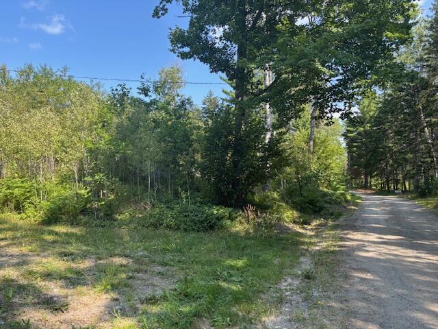 Lot 16 Rabbit Hollow Road Rangeley, ME 04970 - Photo 9 of 13 IMG_0083