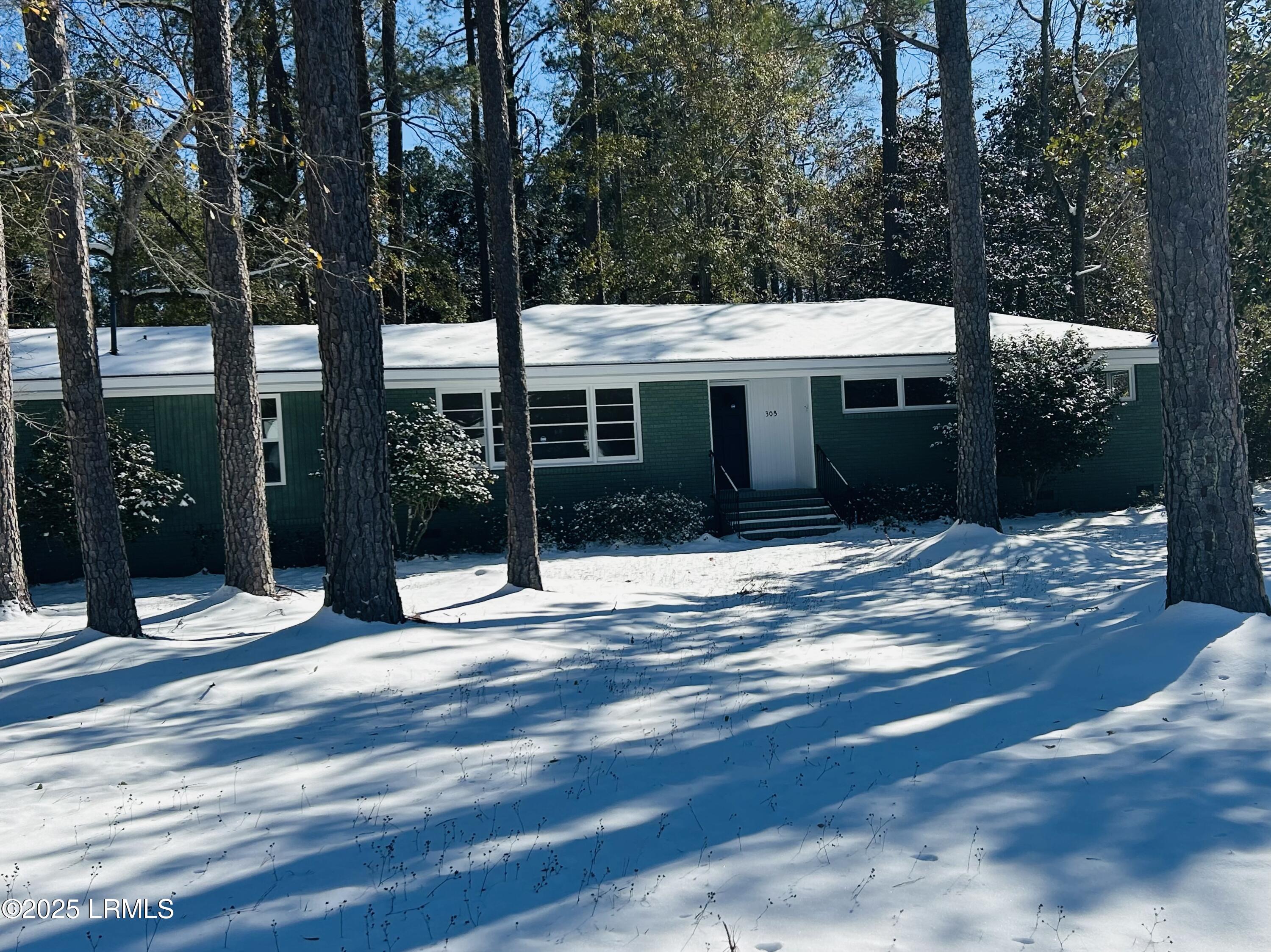 303 Joey Street Hampton, SC 29924 - Photo 1 of 21 Home