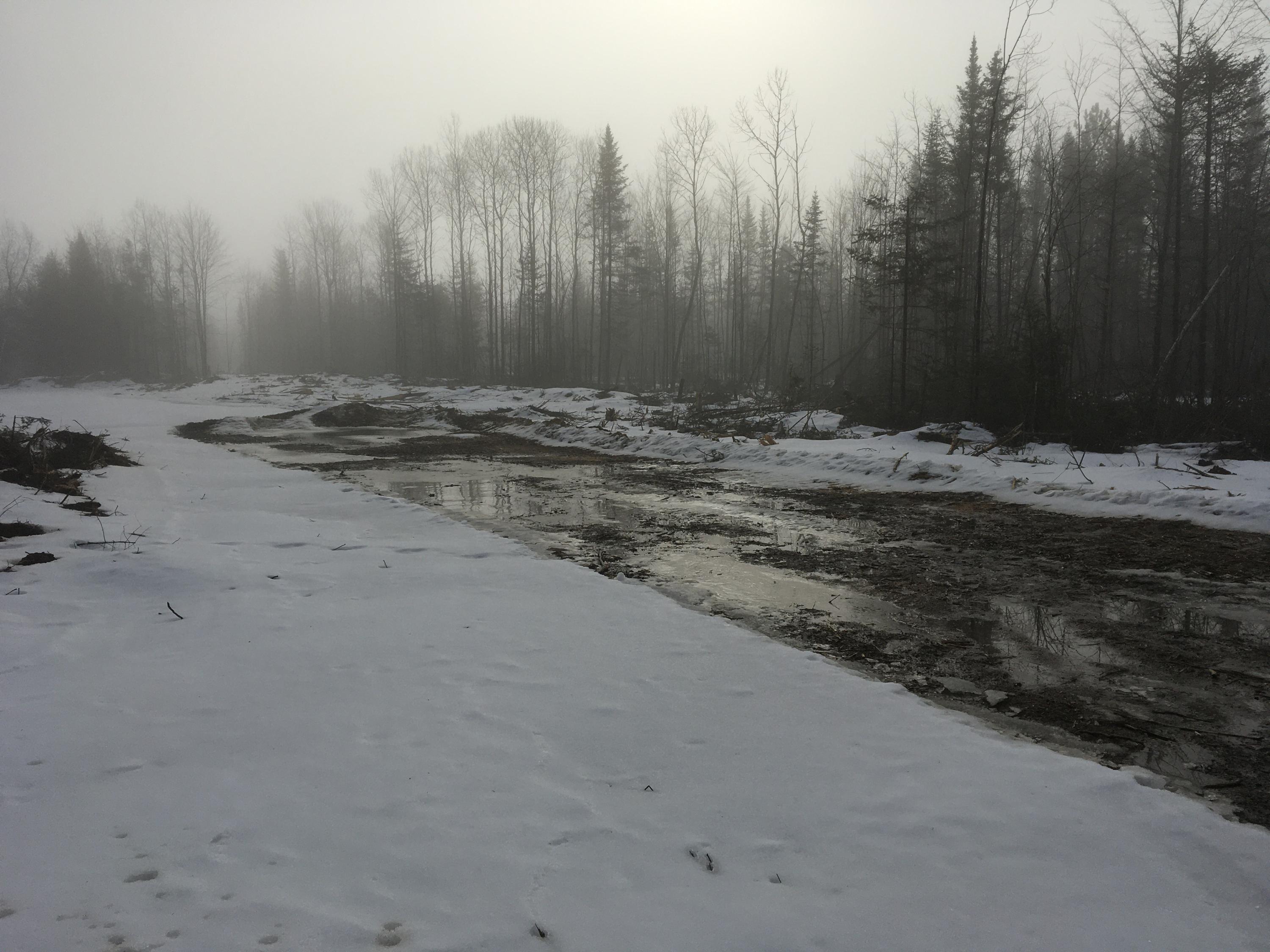 Lot 8 Johnson Flat Road Pittsfield, ME 04967 - Photo 2 of 15 Photo Mar 03, 8 42 10 AM