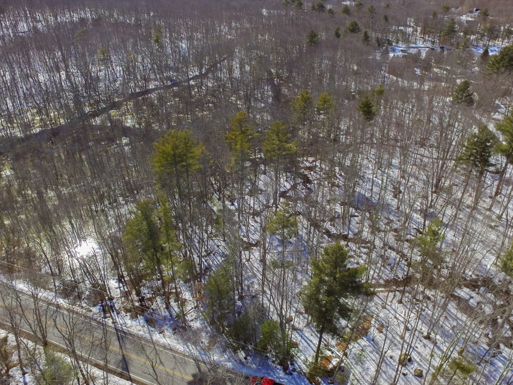 183 Blackstone Street Mendon, MA 01756 - Photo 2 of 9 a view of a forest with lots of trees
