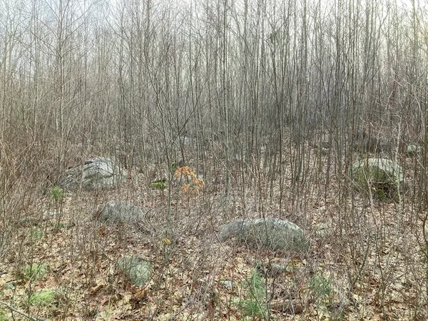 $535,000 | 183 Blackstone Street, Mendon, MA 01756