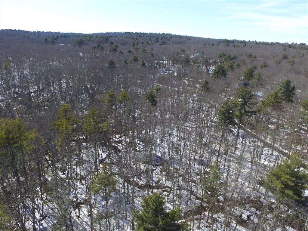 183 Blackstone Street Mendon, MA 01756 - Photo 3 of 9 a view of a dry field