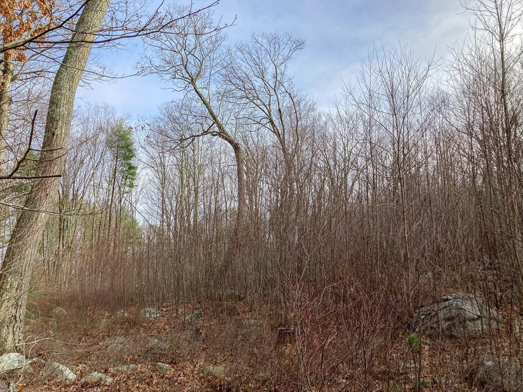 183 Blackstone Street Mendon, MA 01756 - Photo 7 of 9