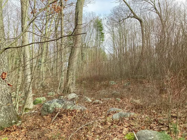 $489,000 | 183 Blackstone Street, Mendon, MA 01756