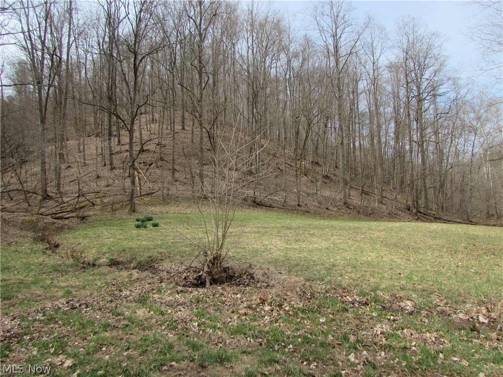 Bean Ridge Road Smithville, WV 26178 - Photo 8 of 34 Gallery Image 8