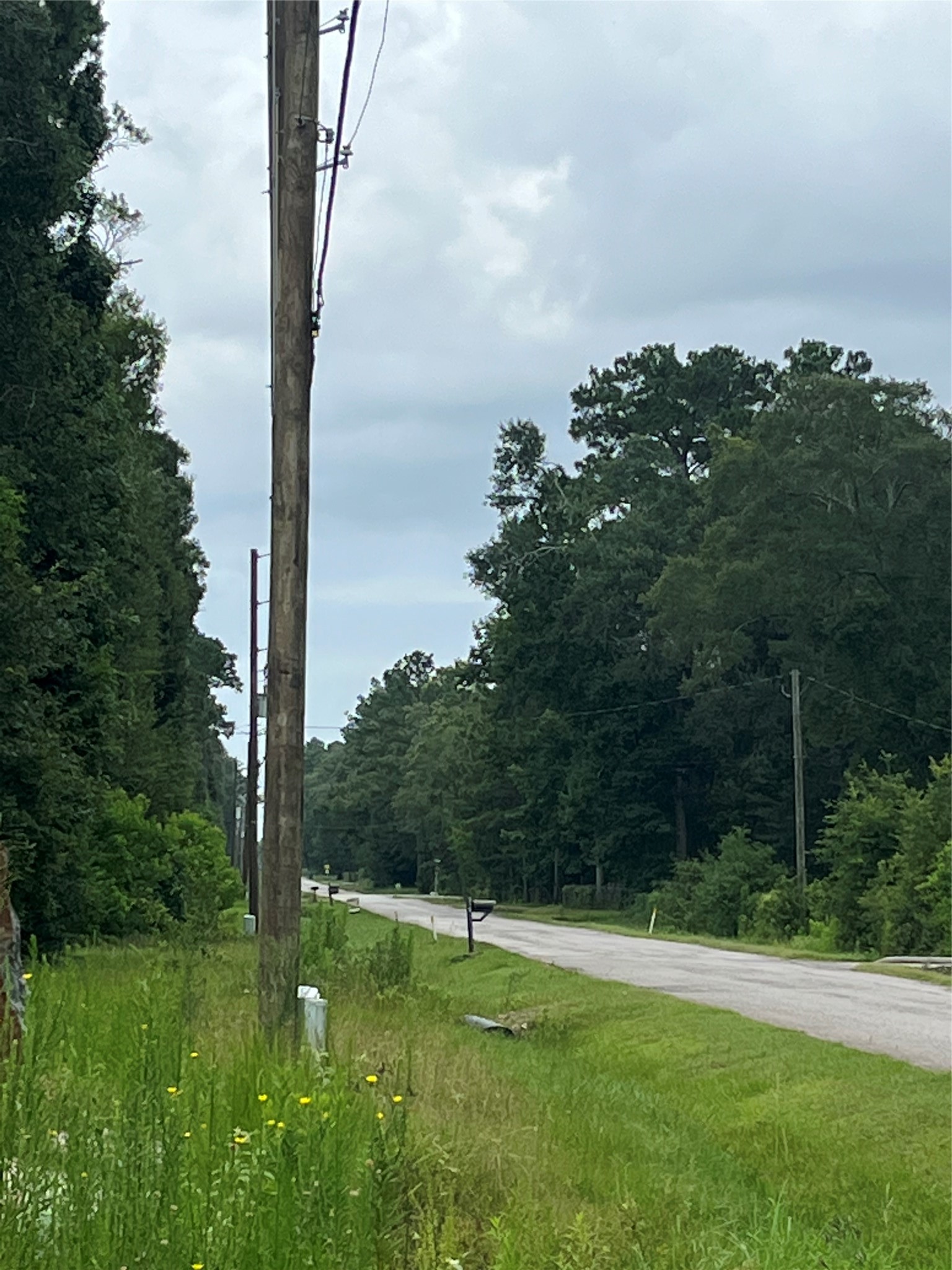 373-01 Splendora Tx 77372 Splendora, TX 77372 - Photo 2 of 12 a view of a garden with a tree