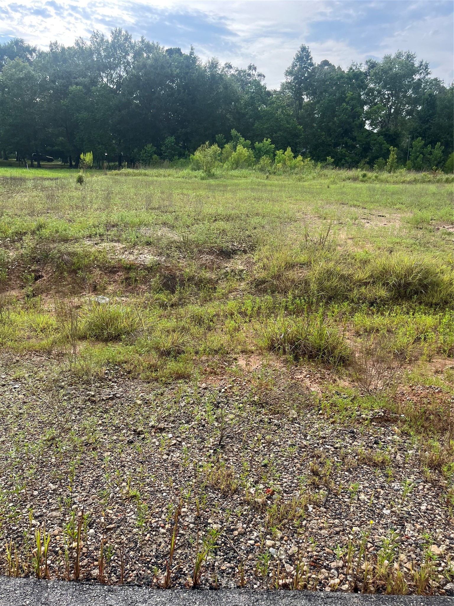 373-01 Splendora Tx 77372 Splendora, TX 77372 - Photo 5 of 12 a view of a field with an ocean view