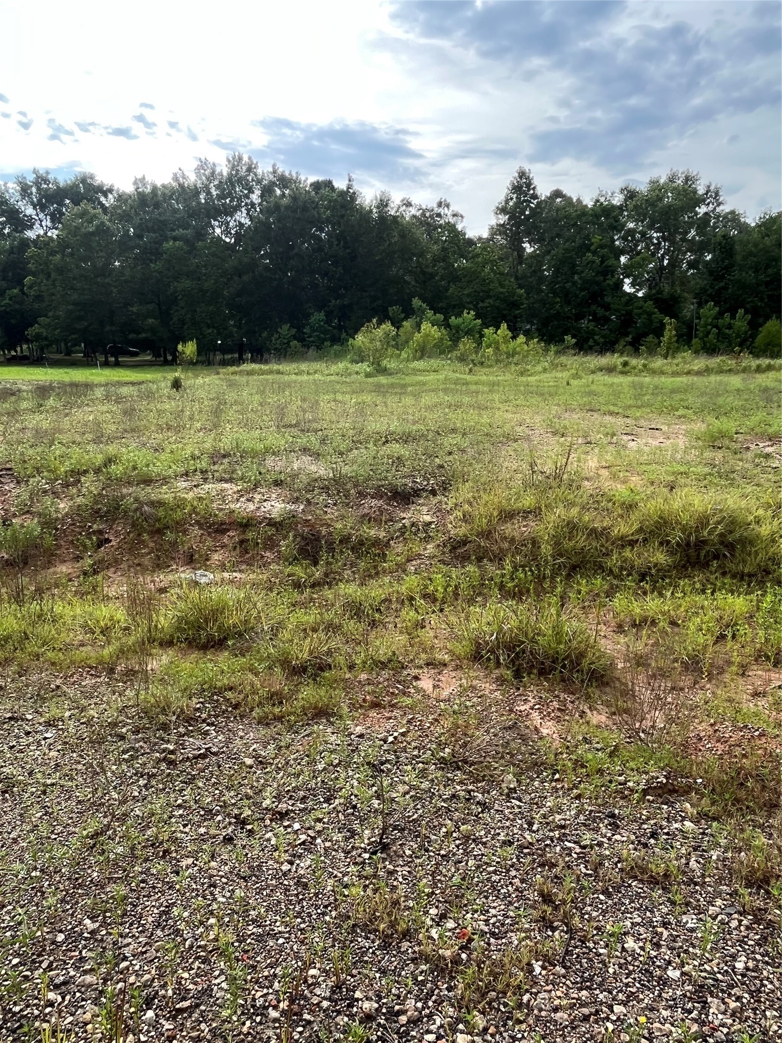 373-01 Splendora Tx 77372 Splendora, TX 77372 - Photo 6 of 12